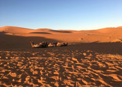 8-Day Morocco Tour From Casablanca to Imperial Cities and the Sahara