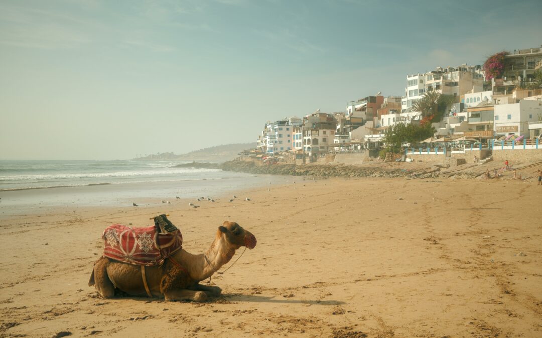 6 Days from Agadir to Erg Chegaga